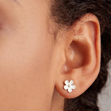925 Silver Daisy Stud Earring Enamel CZ