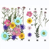 Real Dried Flower Dry Plants for Candle Resin Jewelry Craft DIY