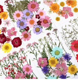 Real Dried Flower Dry Plants for Candle Resin Jewelry Craft DIY