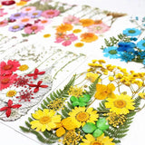 Real Dried Flower Dry Plants for Candle Resin Jewelry Craft DIY