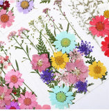 Real Dried Flower Dry Plants for Candle Resin Jewelry Craft DIY
