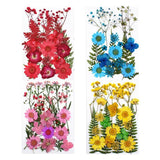 Real Dried Flower Dry Plants for Candle Resin Jewelry Craft DIY