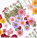 Real Dried Flower Dry Plants for Candle Resin Jewelry Craft DIY