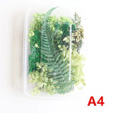 Dried Flowers Box DIY Photo Frame Material Bag for Epoxy Resin Decoration