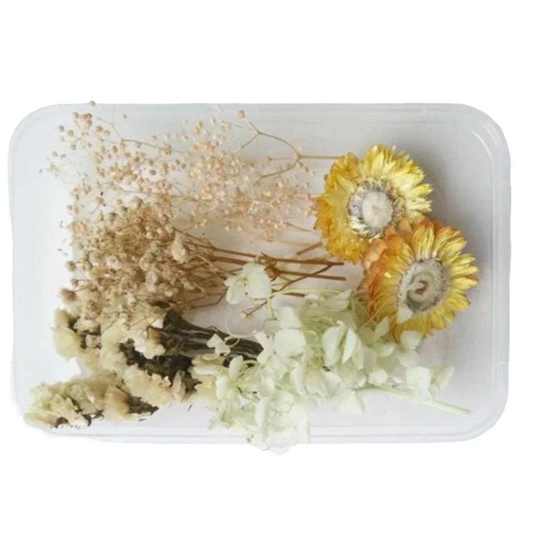 Real Dried Flower Aromatherapy Necklace