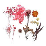 Real Dried Flower Aromatherapy Necklace