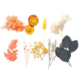 Real Dried Flower Aromatherapy Necklace
