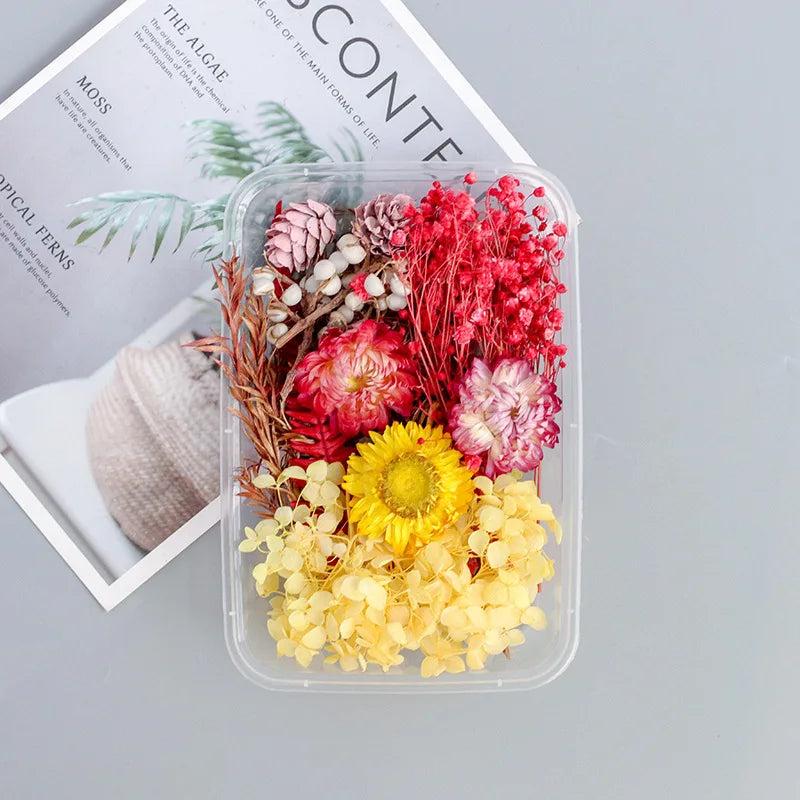 Colorful Real Dried Flower for Aromatherapy Candle Epoxy Resin Necklace