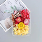 Colorful Real Dried Flower for Aromatherapy Candle Epoxy Resin Necklace