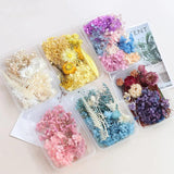 Colorful Real Dried Flower for Aromatherapy Candle Epoxy Resin Necklace