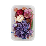 Colorful Real Dried Flower for Aromatherapy Candle Epoxy Resin Necklace