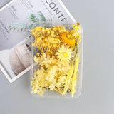 Colorful Real Dried Flower for Aromatherapy Candle Epoxy Resin Necklace