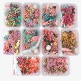 Dried Flower Dry Plants for Aromatherapy Candle Pendant Jewelry Scrapbooking DIY