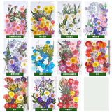Dried Flower Dry Plants Aromatherapy Candle Craft DIY Christmas