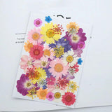 Dried Flower Dry Plants Aromatherapy Candle Craft DIY Christmas