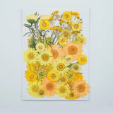 Dried Flower Dry Plants Aromatherapy Candle Craft DIY Christmas