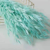 Dried Flowers Pampas Grass DIY Room Decor Wedding Supplies