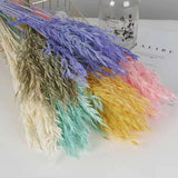 Dried Flowers Pampas Grass DIY Room Decor Wedding Supplies