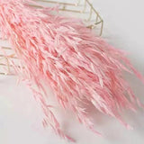 Dried Flowers Pampas Grass DIY Room Decor Wedding Supplies