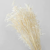 Dried Flowers Pampas Grass DIY Room Decor Wedding Supplies