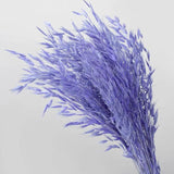 Dried Flowers Pampas Grass DIY Room Decor Wedding Supplies