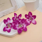 50pcs Silk Orchid Flower Heads DIY Wedding Decoration