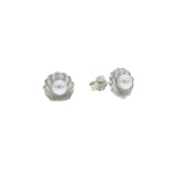 925 Silver Mini Stud Earring Beach Collection Sea Star Shell Pearl