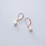 925 Silver Geometric Hoop Earrings for Women