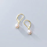 925 Silver Geometric Hoop Earrings for Women