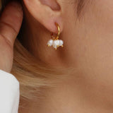 Freshwater Pearl Hoop Earrings 18K Plated Stainless Steel Mini Pearl Earring