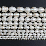 Natural Freshwater Pearl Beads 3-4mm/12-13mm