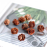 Dried Flower Aromatherapy Candle Necklace Craft