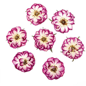 10pcs Real Dried Pressed Flowers DIY Craft Epoxy Resin Candle Soap Making