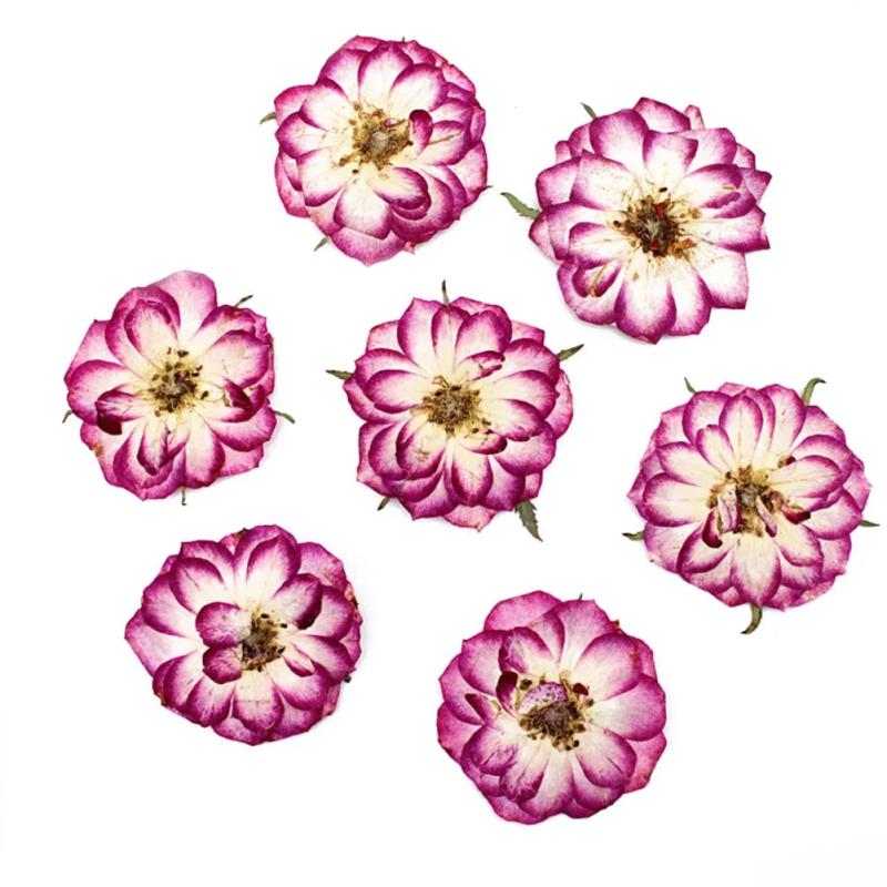 10pcs Real Dried Pressed Flowers DIY Craft Epoxy Resin Candle Soap Making