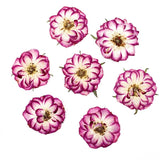 10pcs Real Dried Pressed Flowers DIY Craft Epoxy Resin Candle Soap Making