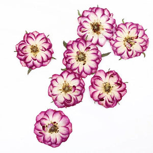 10pcs Real Dried Pressed Flowers DIY Craft Epoxy Resin Candle Soap Making