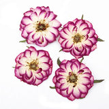 10pcs Real Dried Pressed Flowers DIY Craft Epoxy Resin Candle Soap Making