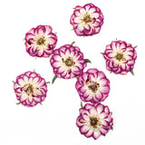 10pcs Real Dried Pressed Flowers DIY Craft Epoxy Resin Candle Soap Making