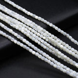 Natural Shell Mother of Pearl Spacer Beads 14''