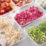 DIY Aromatherapy Wax Slice Epoxy Resin Jewelry Making Flower Accessories