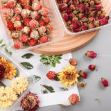 DIY Aromatherapy Wax Slice Epoxy Resin Jewelry Making Flower Accessories