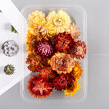 DIY Aromatherapy Wax Slice Epoxy Resin Jewelry Making Flower Accessories