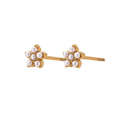 Zircon Pearl Mini Flower Stud Earrings for Women