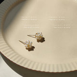 Freshwater Pearl Ball French Style Earrings