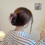 Large Grab Hair Clips for Women, Transparent Back Shark Cawl Clips