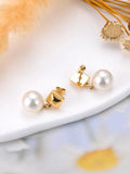 18K Plated Stainless Steel Earrings for Women