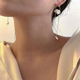 Baroque Pearl Pendant Earrings European American Style