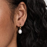 Freshwater Pearl Hoop Earrings for Women