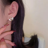 Magnolia Pearl Shell Earrings Women's Accessories