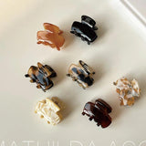 Acetate Hair Clip Claw Barrette Hairpins